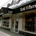 yorkelmhurst_store