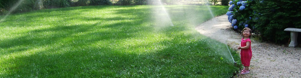 Irrigation Lawn Sprinkler Service, Repair & Maintenance